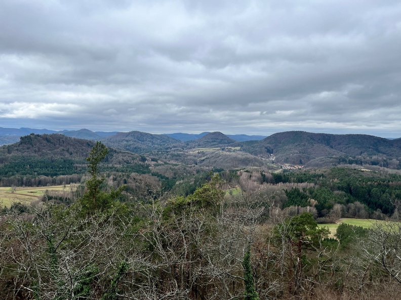 24-03-01 12-24-01 8866.jpeg